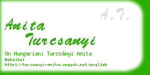 anita turcsanyi business card